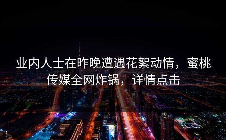 业内人士在昨晚遭遇花絮动情，蜜桃传媒全网炸锅，详情点击