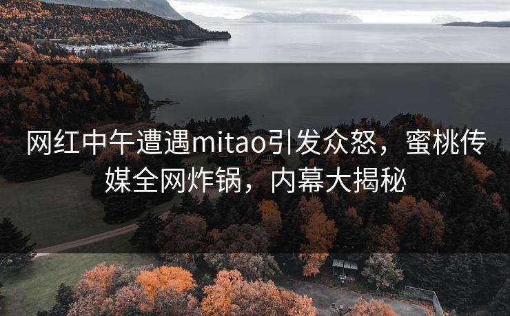 网红中午遭遇mitao引发众怒，蜜桃传媒全网炸锅，内幕大揭秘