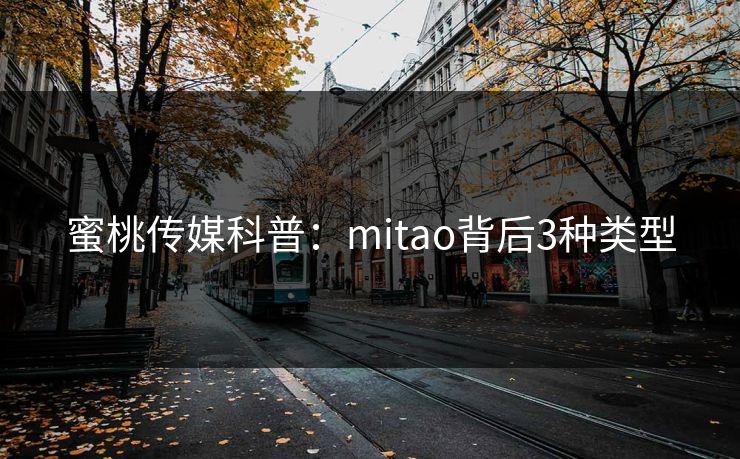 蜜桃传媒科普：mitao背后3种类型