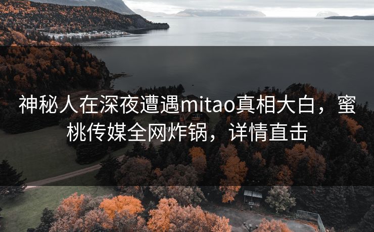 神秘人在深夜遭遇mitao真相大白，蜜桃传媒全网炸锅，详情直击